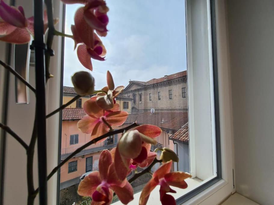 Cuore Di Alba Charming Apartment Eksteriør billede